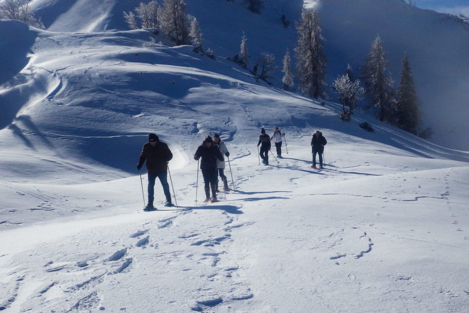 Snowshoeing in Bled