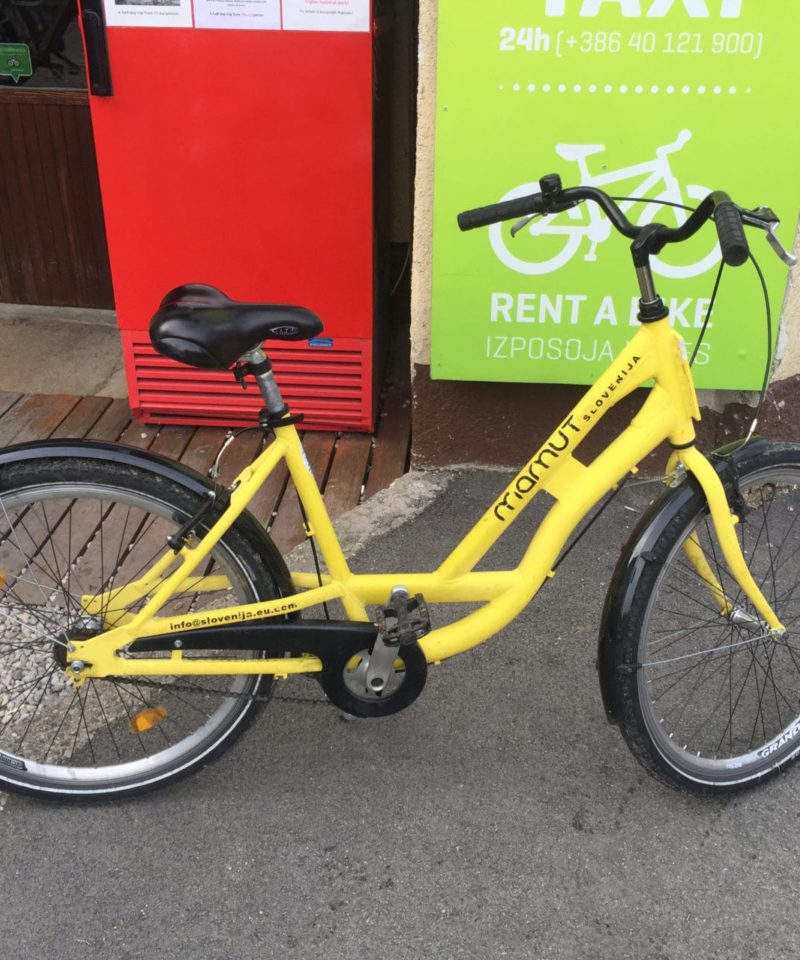 Rent a city bike in Slovenia
