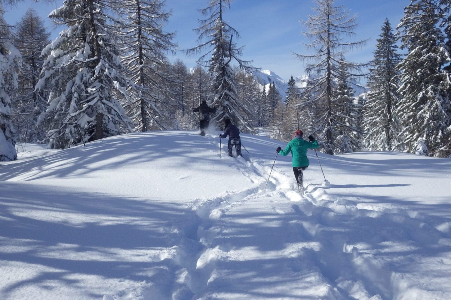 Winter trips in slovenia