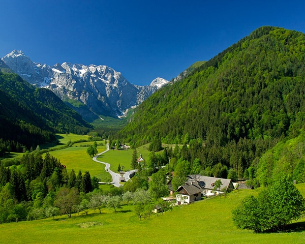 Logarska valley tour from Bled or Ljubljana