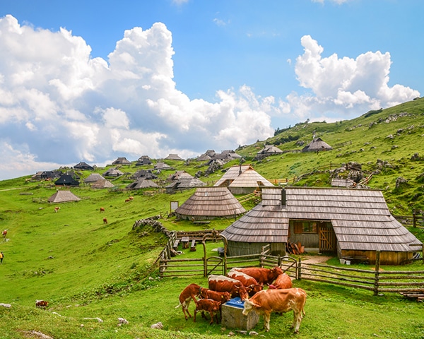 Private tours in Slovenia