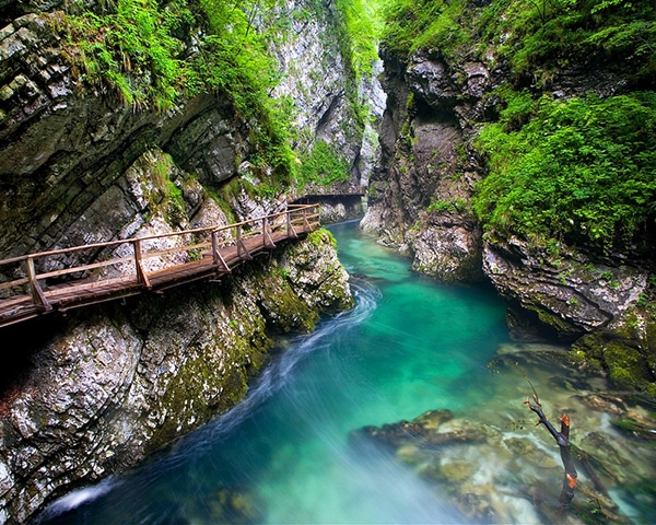 Self guided bike tour to Vintgar gorge from Bled