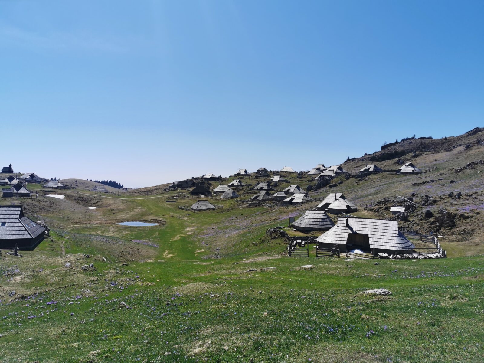 Velika planina