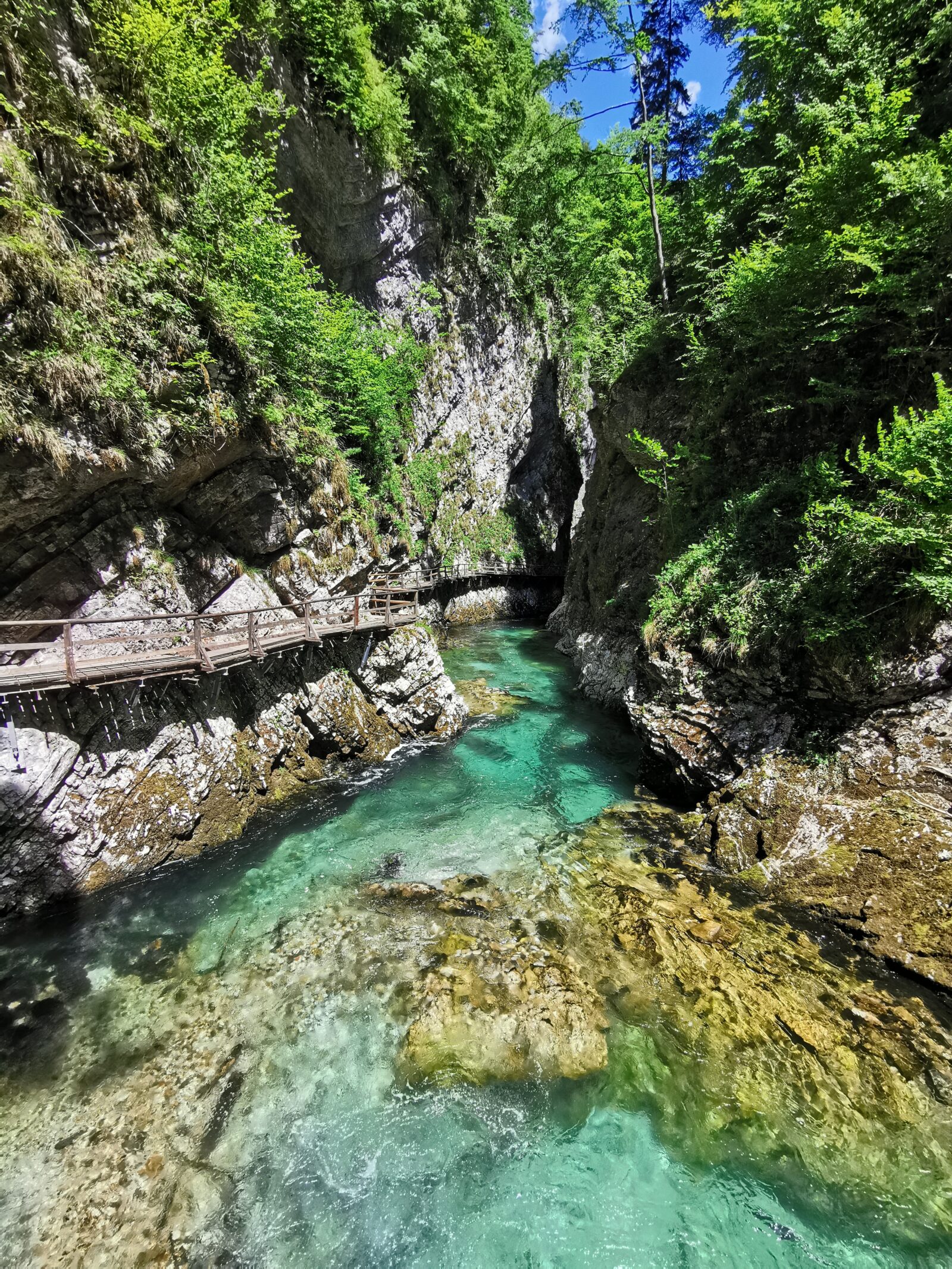 Vintgar gorge shuttle Bled