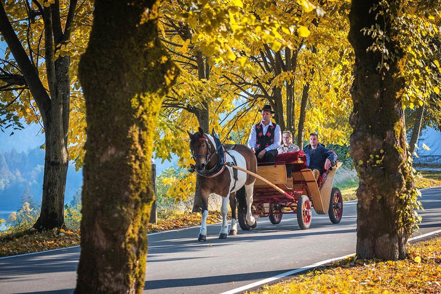 top-10-things-to-visit-in-lake-bled-7 top-10-things-to-visit-in-lake-bled